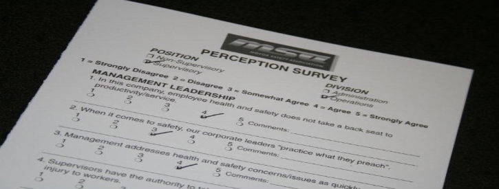 Perception Surveys